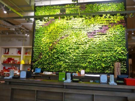 Top Mẫu Cây Giả Trang Trí Nội Thất Đẹp, Tạo Không Gian Xanh Sống Động